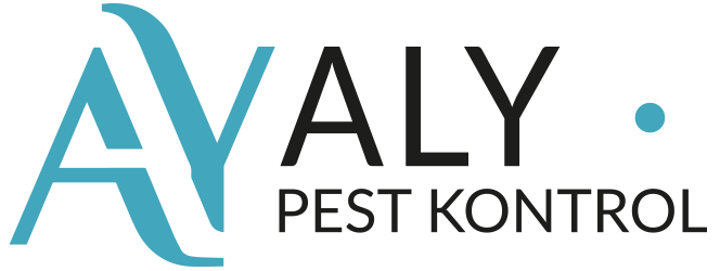 Bakırköy Böcek İlaçlama - Bakırköy İlaçlama Firması - Bakırköy Haşere İlaçlama