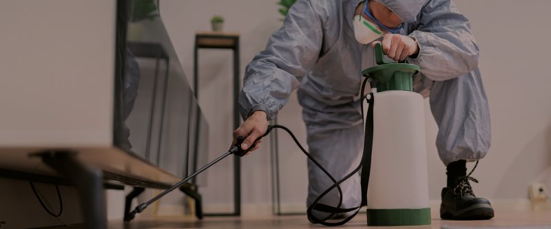 Bakırköy İlaçlama