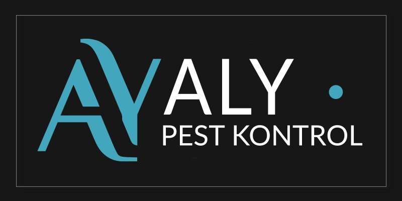 Kartaltepe Böcek İlaçlama