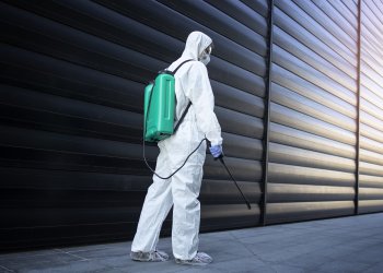 Bakırköy Böcek İlaçlama | Ev – İş Yeri – Apartman Çözüm Rehberi